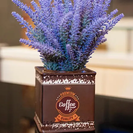 Hotel Vila Tirana Otel 3*